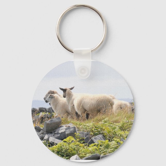 Porte-clés Conceptions originales - Moutons dans un champ (Recto)