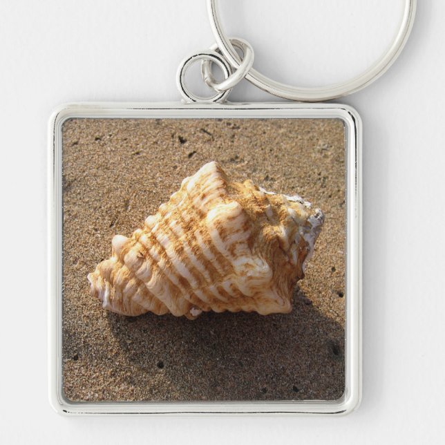Porte-clés Conch Sea Shell Porte - clé de plage de sable (Devant)