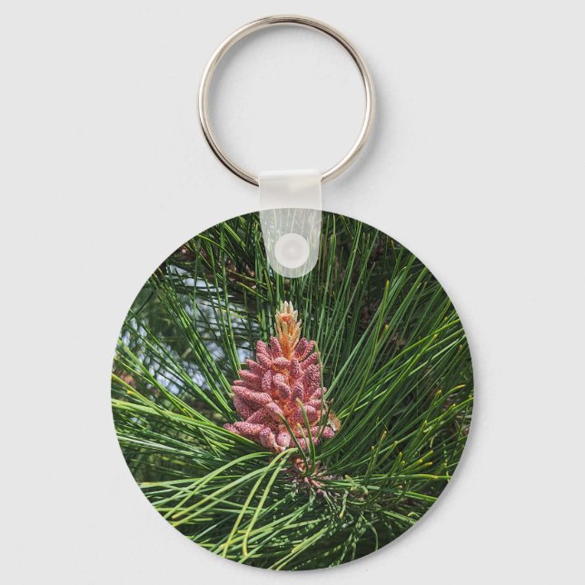 Porte-clés Cône de pollen de pin rouge (Pinus resinosa) (Recto)