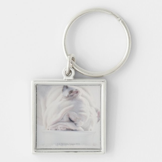 Porte-clés Consommation de bouledogue (Devant)