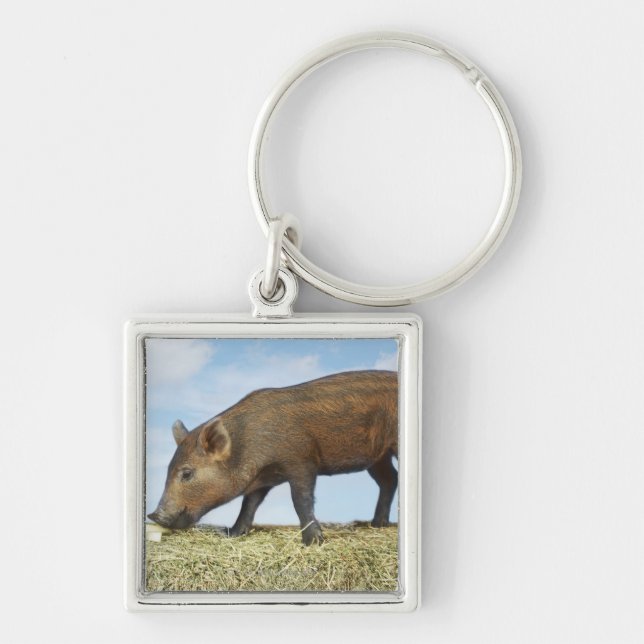 Porte-clés Consommation de porcelet (Devant)