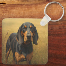 Coonhound noir et feu