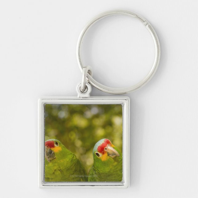 Porte-clés Copan, Honduras (Devant)