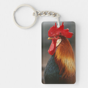 Porte-clés Coq domestique de basse-cour