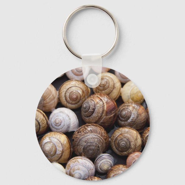 Porte-clés Coques des escargots (Recto)