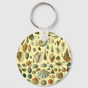 Porte-clés Coquillage Coquille Mollusque Clam Élégant Classiq