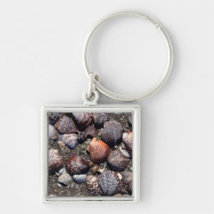 Porte-clés Coquillages colorés crantés sur un sable noir