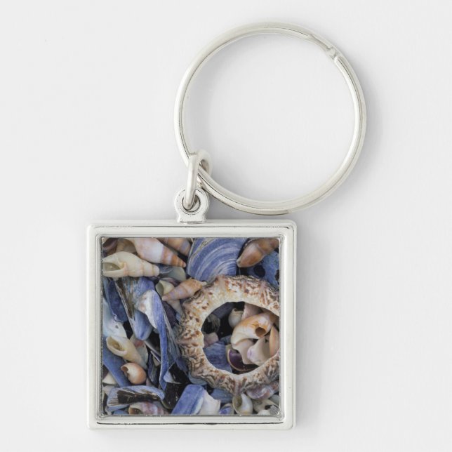 Porte-clés Coquillages, Le Cap, Cap occidental (Devant)