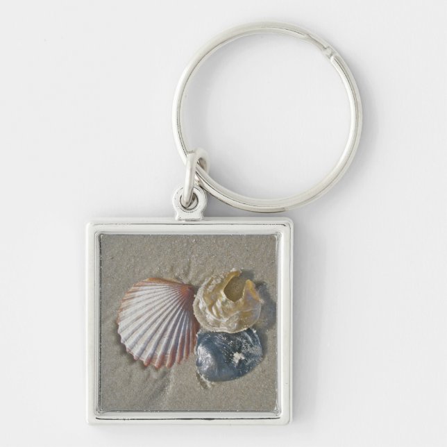 Porte-clés Coquillages sur le Beach Carte de visite (Devant)