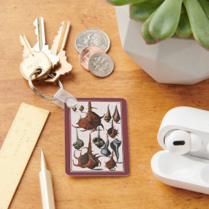 Porte-clés Coquillages vintages, Vie Marine, Coques de mer