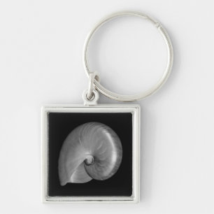 Porte-clés Coquille de nautile noir et blanc