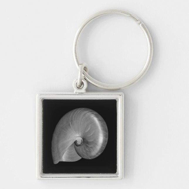Porte-clés Coquille de nautile noir et blanc (Devant)