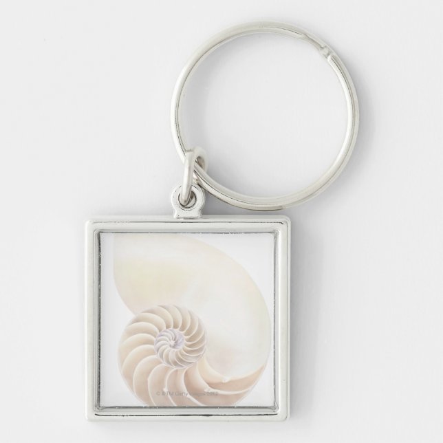 Porte-clés Coquille de Nautilus, plan rapproché (Devant)