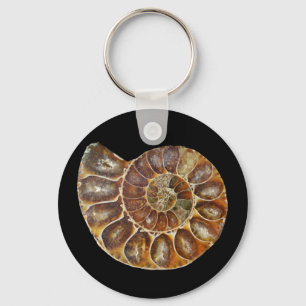 Porte-clés coquille d'escargot fossile préhistorique nature a