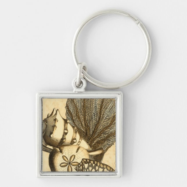 Porte-clés Coquilles neutres et collection de corail (Devant)