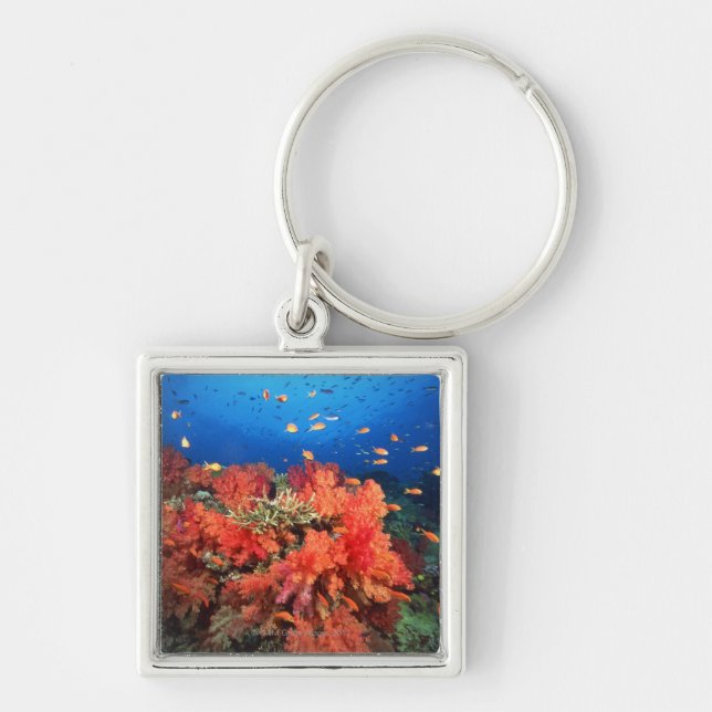 Porte-clés Corail et poissons (Devant)