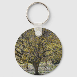 Porte-clés Corneille cerise Dogwood et la gloire de la neige