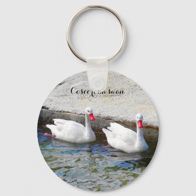 Porte-clés Coscoroba Swan #1 Keychain (Recto)