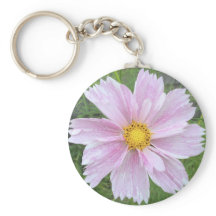 Cosmos - Paleste de roses —