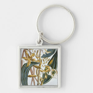 Porte-clés Cosses de vanille, plat 65, de 'collection
