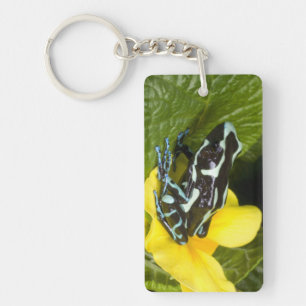 Porte-clés Costa Rica, péninsule d'Osa