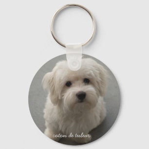 Porte-clés Coton de Tulear