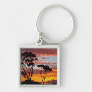 Porte-clés Coucher de soleil et arbre à gomme, Binalong Bay,