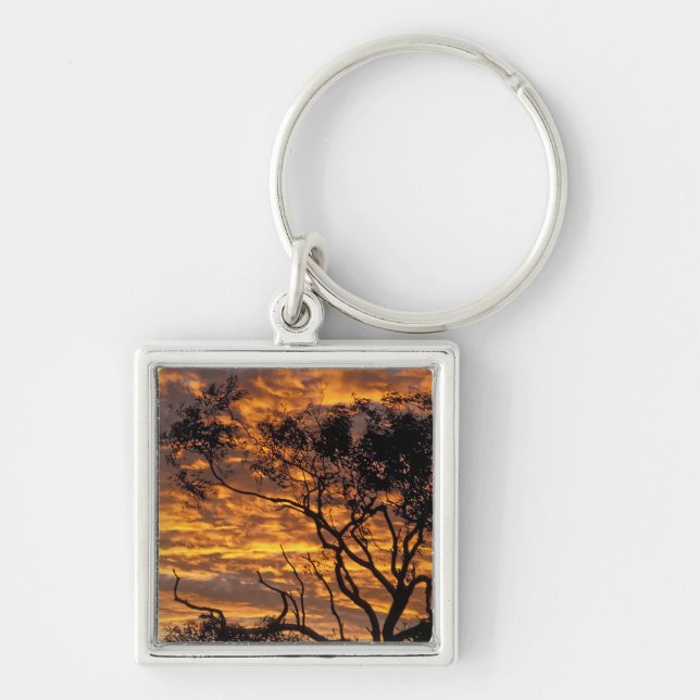 Porte-clés Coucher de soleil, parc national d'Uluru-Kata Tjut (Devant)