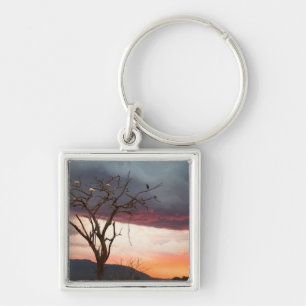 Porte-clés Coucher de soleil sur le marais de Kandheri avec d
