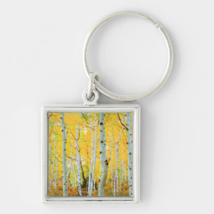 Porte-clés Couleurs d'automne des arbres d'Aspen 1