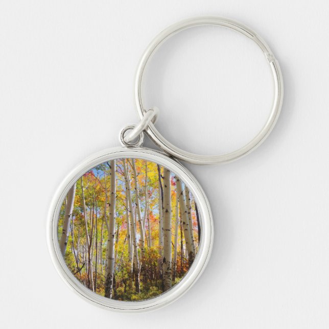 Porte-clés Couleurs d'automne des arbres d'Aspen 5 (Devant)