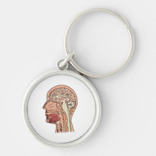 Porte-clés Coupe sagittale médiane du cerveau