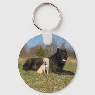 Porte-clés Couple de chien mignon