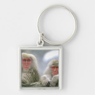 Porte-clés Couple de singe des neiges, Macaque japonais