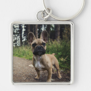 Porte-clés Coussin de lancer Bouledogue Français