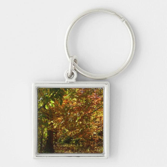 Porte-clés Couvert de feuilles d'automne II Photographie d'au (Devant)