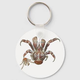 Porte-clés Crabe de coco sauvage des Caraïbes