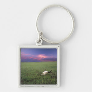 Porte-clés Crâne de buffle dans l'herbe de prairie près de Me