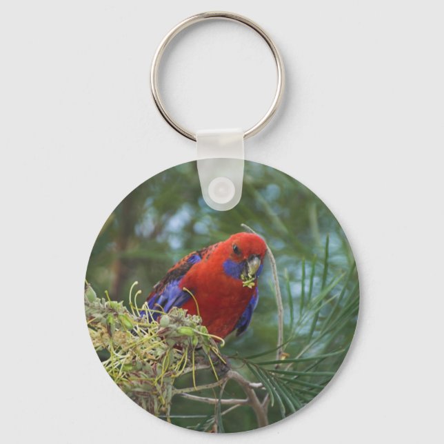 Porte-clés Crimson Rosella (Recto)