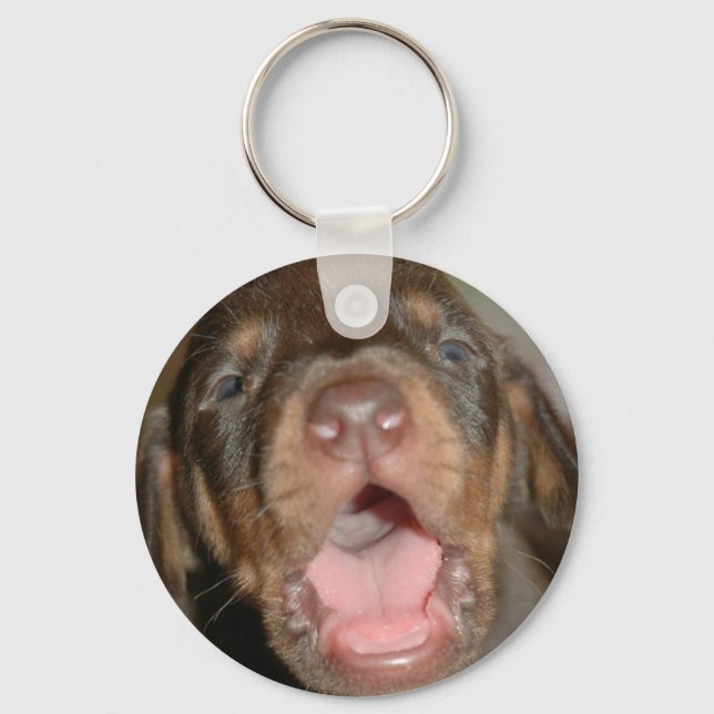 Porte-clés Cry baby Doberman (Recto)