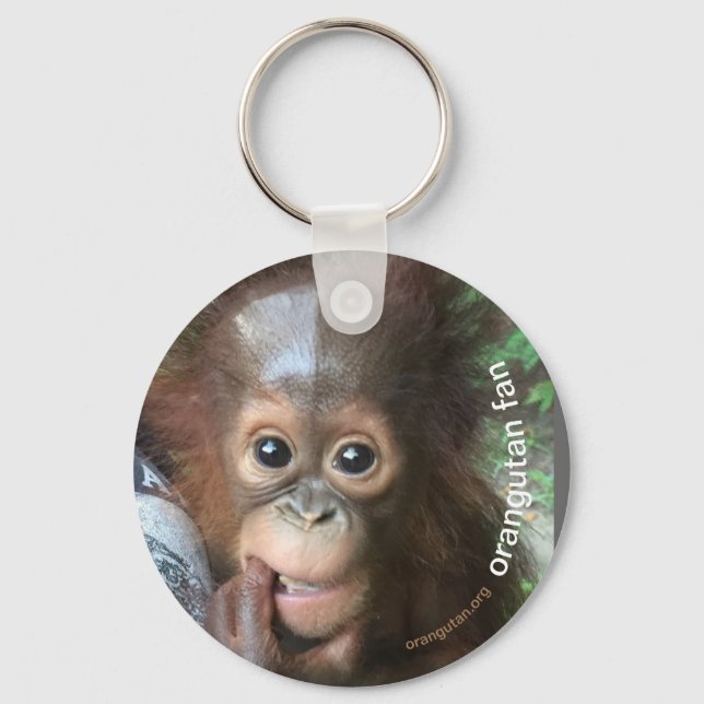 Porte-clés Crystal Orangutan Orphan Enregistrer (Recto)