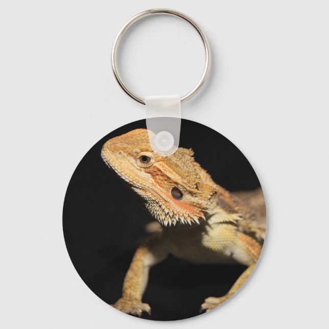 Porte-clés Curieux Dragon À Portes 3 (Recto)
