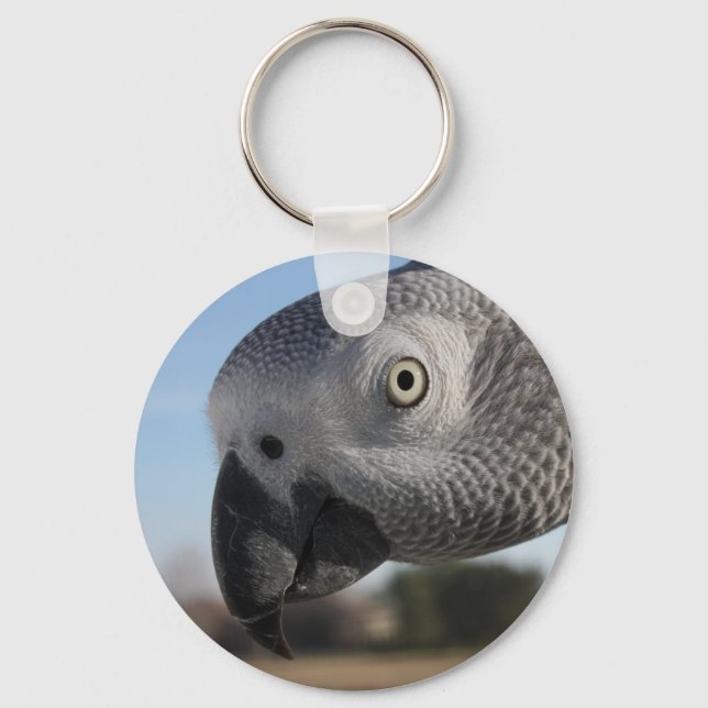 Porte-clés Curieux perroquet gris du Congo (Recto)