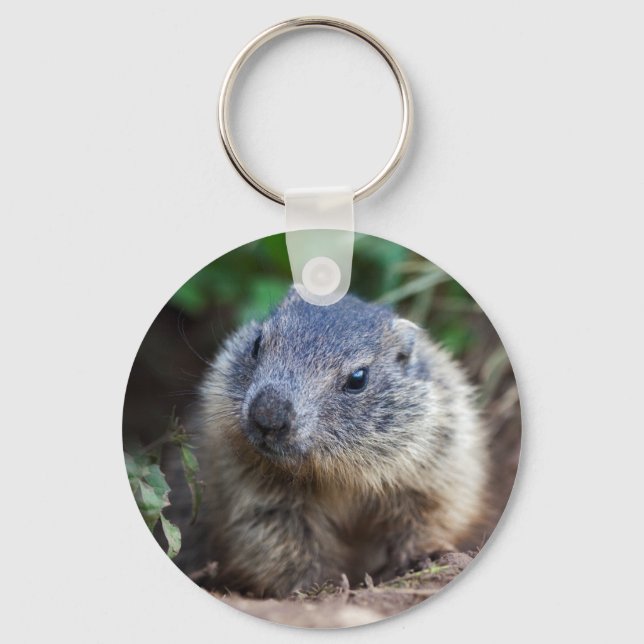 Porte-clés Curious bébé Marmot Keyring (Recto)