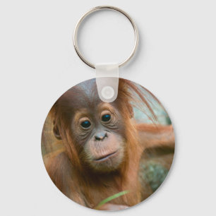 Porte-clés Cute Baby Orangutan looking straight ahead