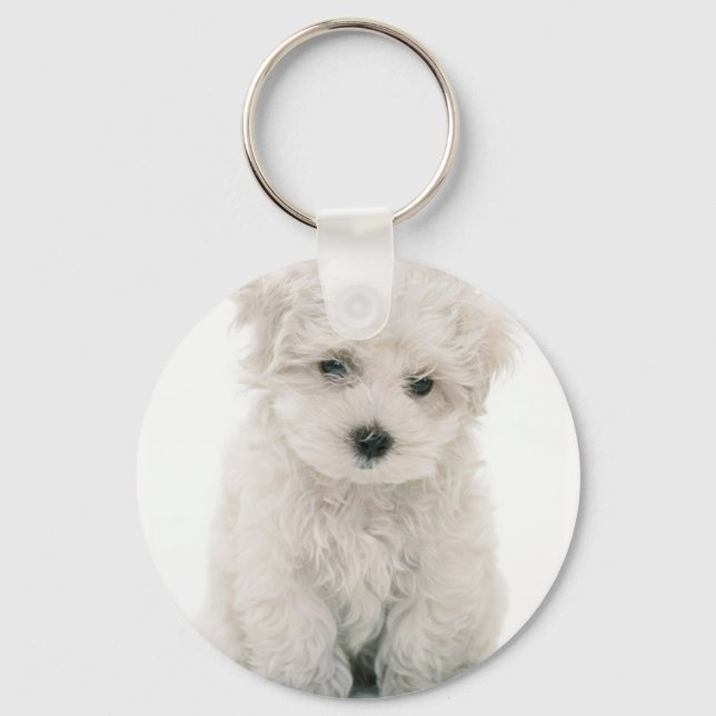 Porte-clés Cute Bichon Frise Keychain (Recto)