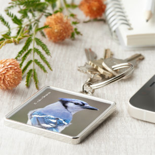 Porte-clés Cute Bleu Jay Songbird sur Treestump