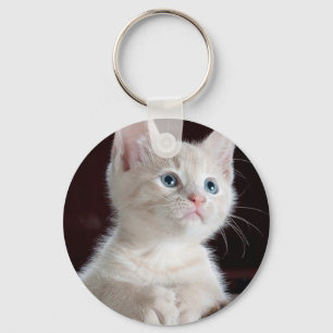 Porte-clés Cute chaton blanc