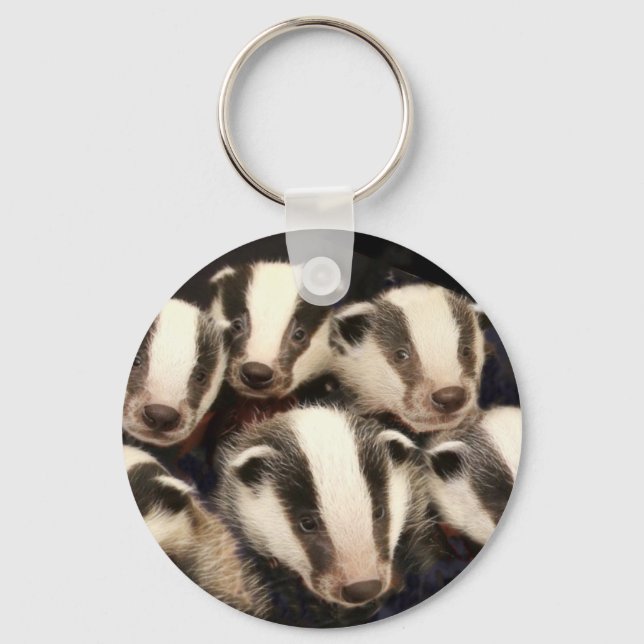 Porte-clés Cute cubes Badger (Recto)