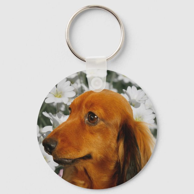 Porte-clés Cute Dachshund (Brown Long Haired) en Fleurs (Recto)
